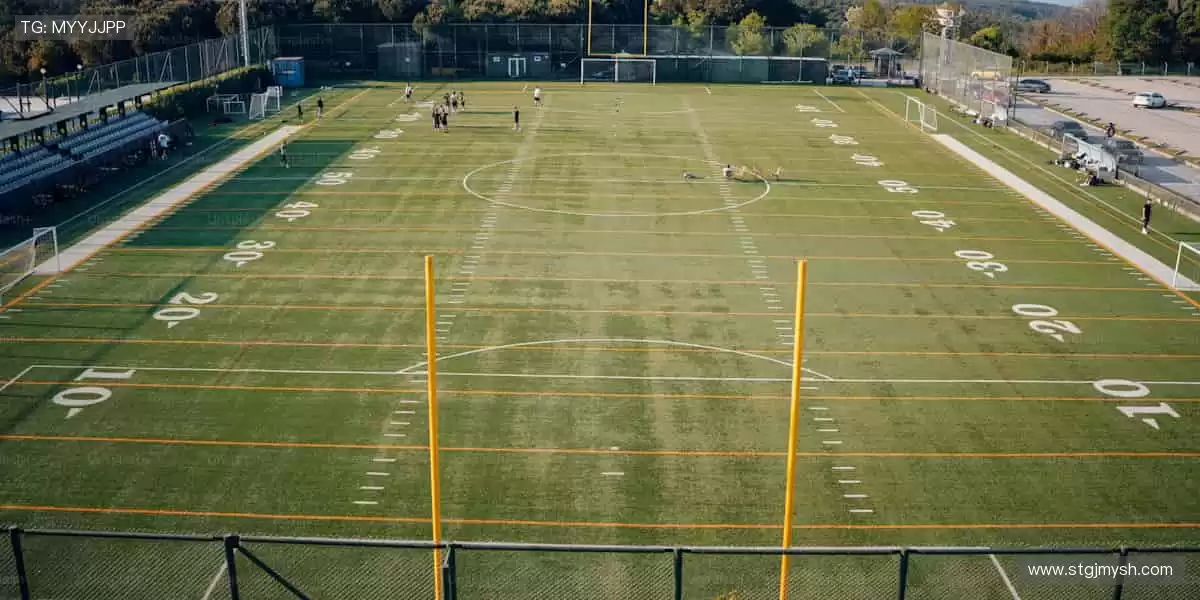 💥🎯 直播互动，全民参与！